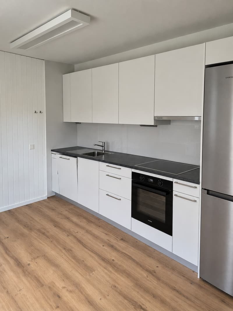Möbliertes Zimmer in ruhiger 3er-WG in Riniken bei Brugg CHF 790 inkl. NK (3)