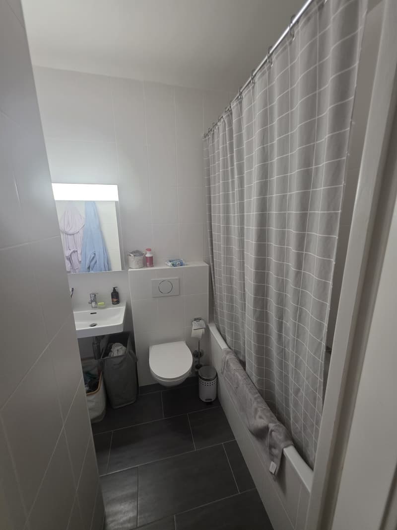 Apartment for rent relocation (4)