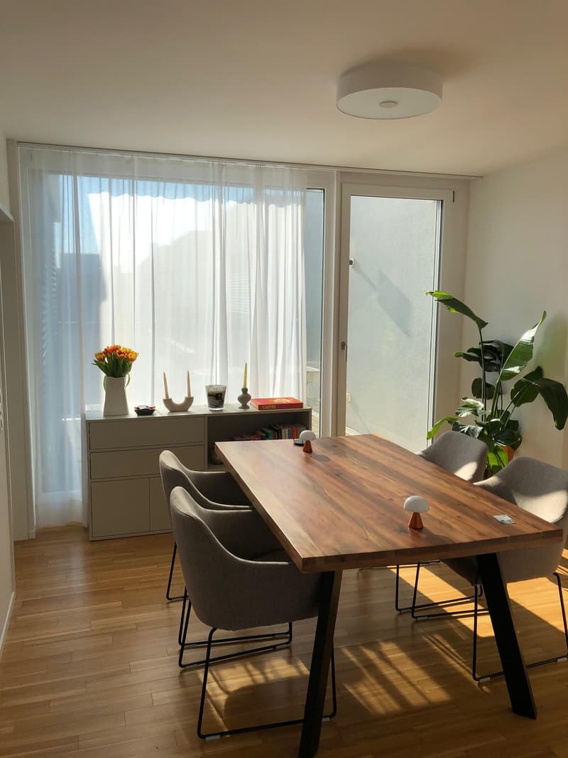 Sublease: Fully furnished, modern 2.5-room apartment  Enge/Wiedikon (Sihlcity Nord). From December 1, 2026 (4)