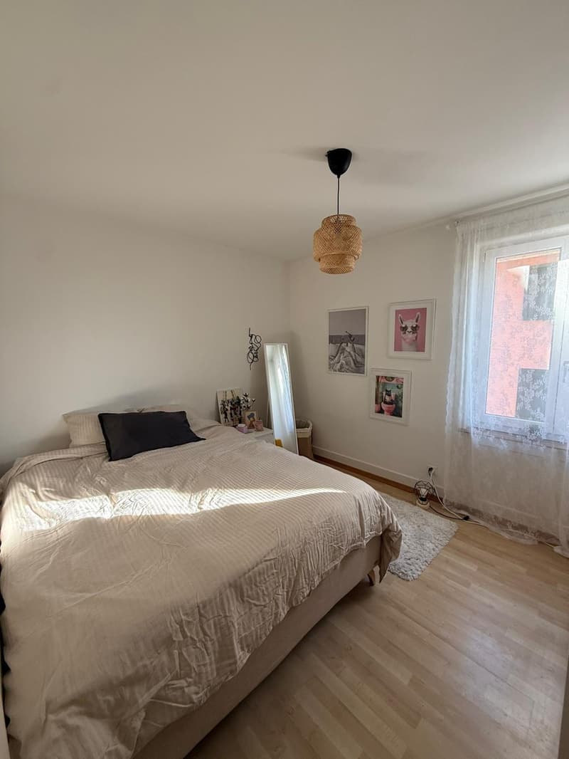 Bright Furnished Room in 3.5-Room Apartment near Sihlcity  Available October 1 (4)