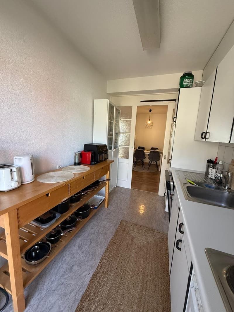 Bright Furnished Room in 3.5-Room Apartment near Sihlcity  Available October 1 (8)