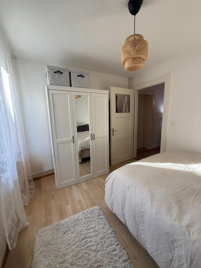 Bright Furnished Room in 3.5-Room Apartment near Sihlcity  Available October 1 (5)