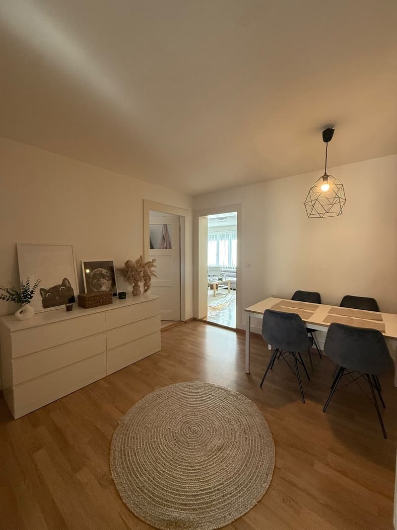 Bright Furnished Room in 3.5-Room Apartment near Sihlcity  Available October 1 (6)