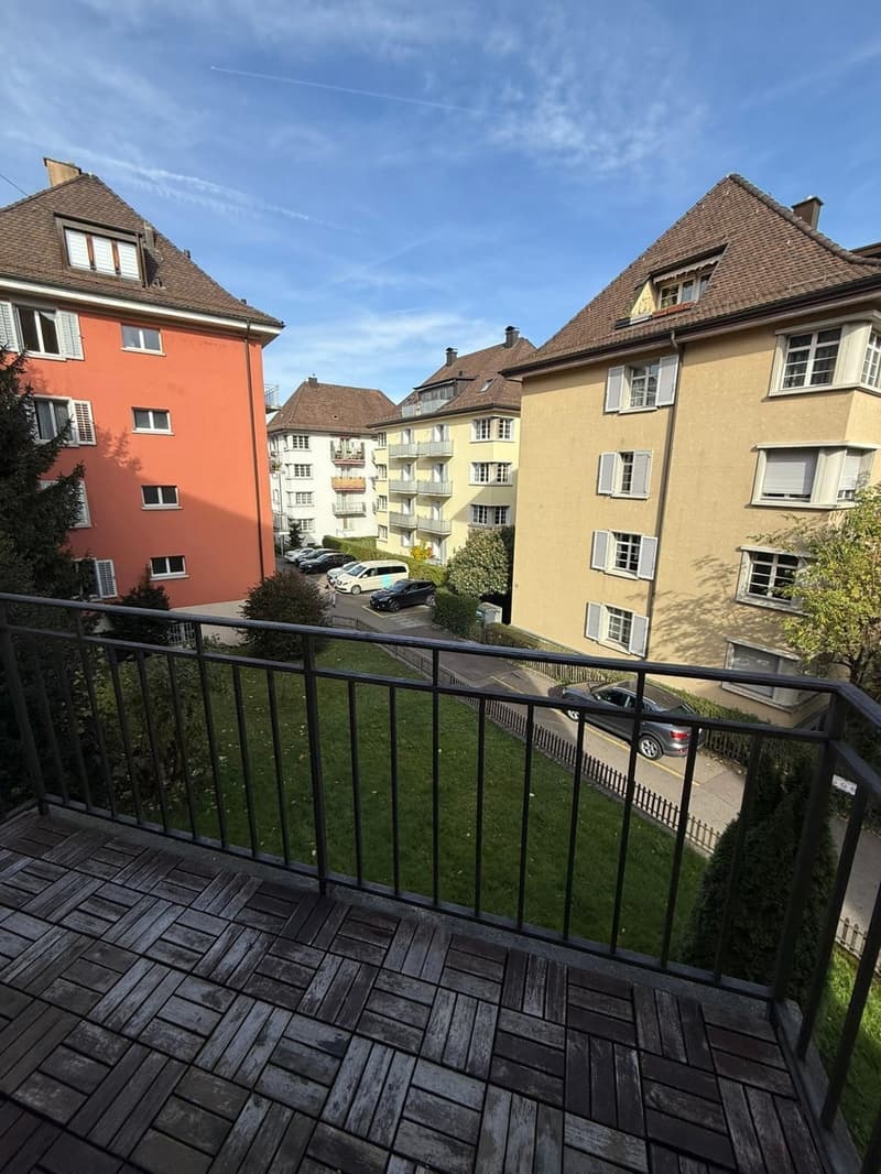 Bright Furnished Room in 3.5-Room Apartment near Sihlcity  Available October 1 (9)