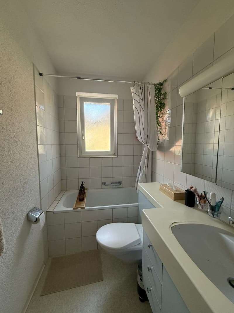 Bright Furnished Room in 3.5-Room Apartment near Sihlcity  Available October 1 (10)