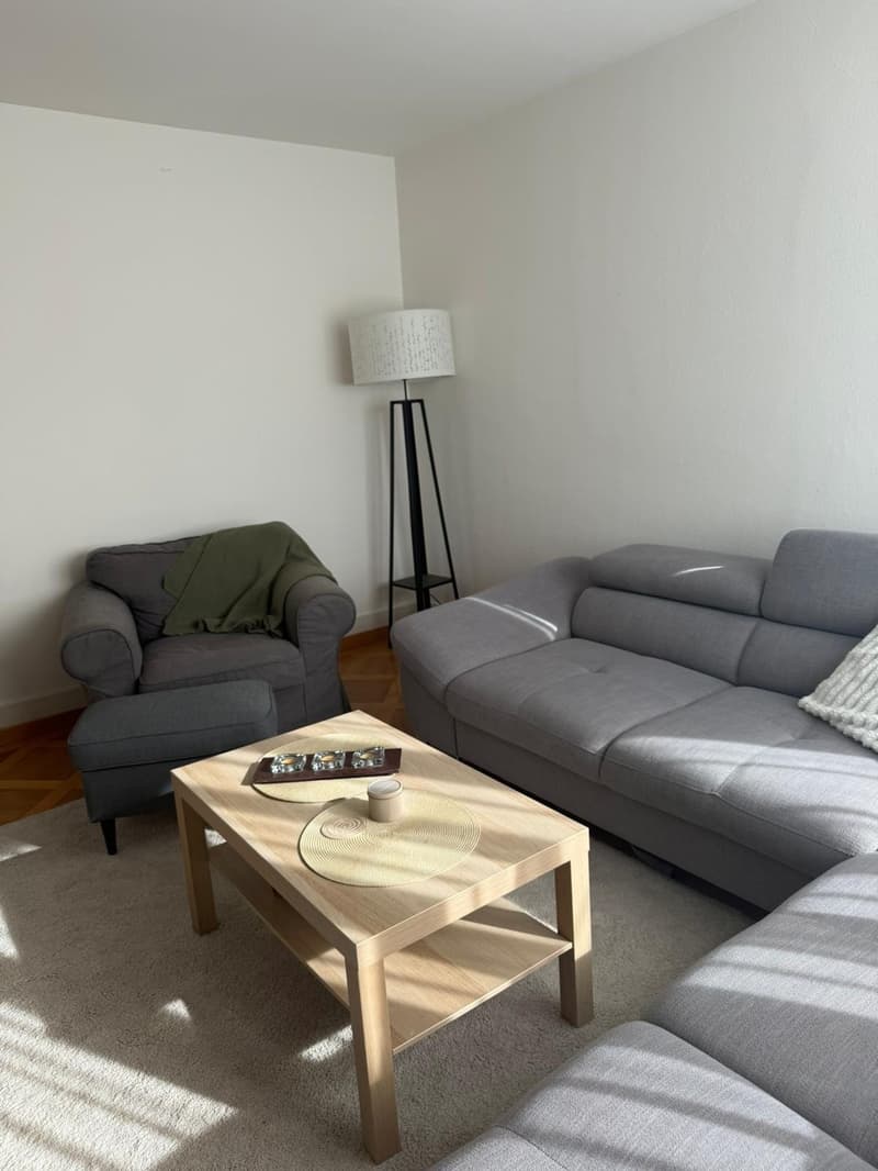 Bright Furnished Room in 3.5-Room Apartment near Sihlcity  Available October 1 (3)