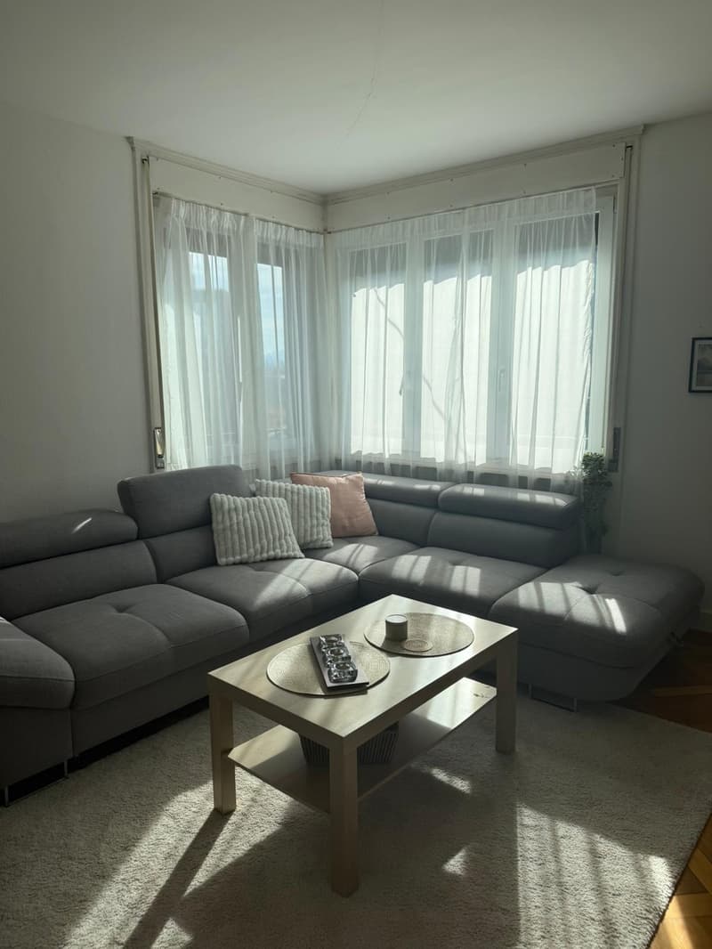 Bright Furnished Room in 3.5-Room Apartment near Sihlcity  Available October 1 (2)