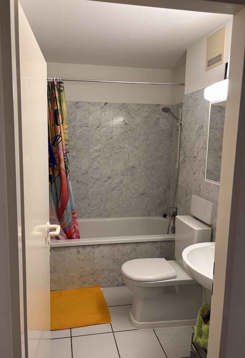 2.5 Zimmer Wohnung im 3.Stock ab 01.11.2026 zu vermieten (10)