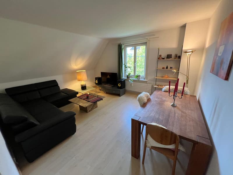 Helle, möblierte 2.5-Zimmer-Wohnung zur Untermiete (1)