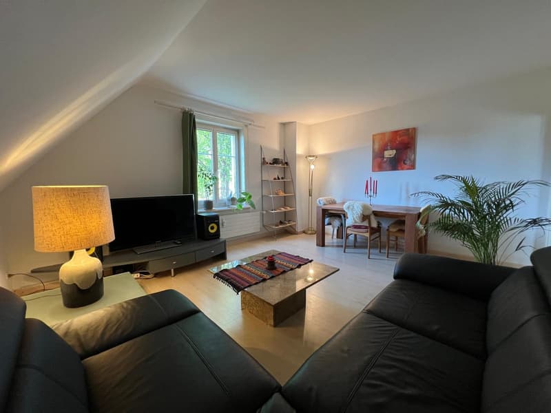 Helle, möblierte 2.5-Zimmer-Wohnung zur Untermiete (4)