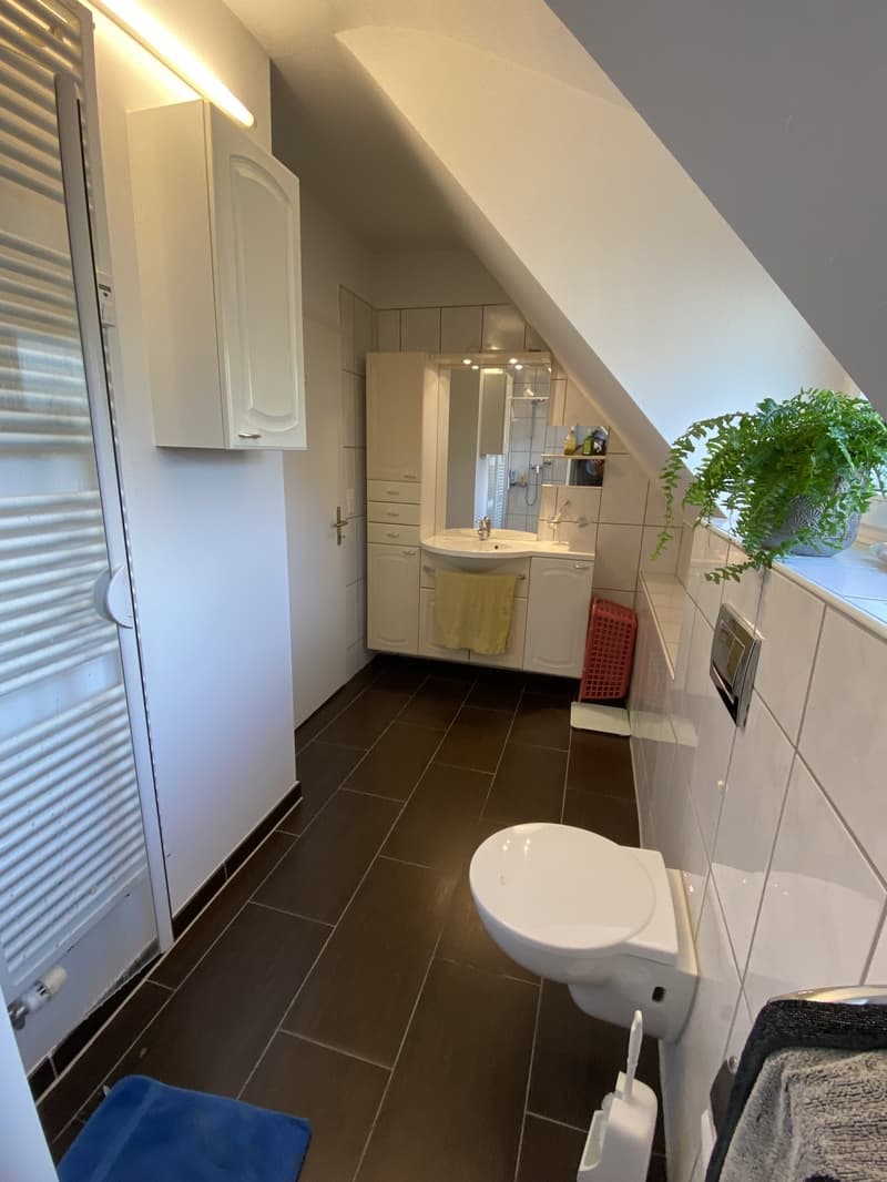 Helle, möblierte 2.5-Zimmer-Wohnung zur Untermiete (7)