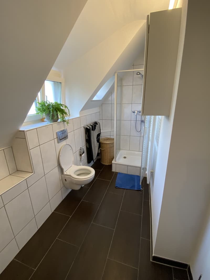 Helle, möblierte 2.5-Zimmer-Wohnung zur Untermiete (6)