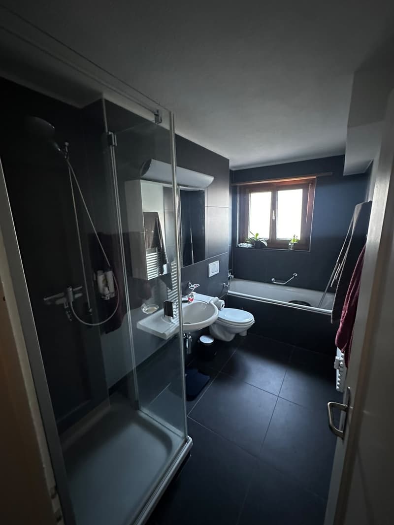: Furnished room in shared flat, Buchs SG central Rhine Valley, 15 min to Liechtenstein, from 1 October (4)