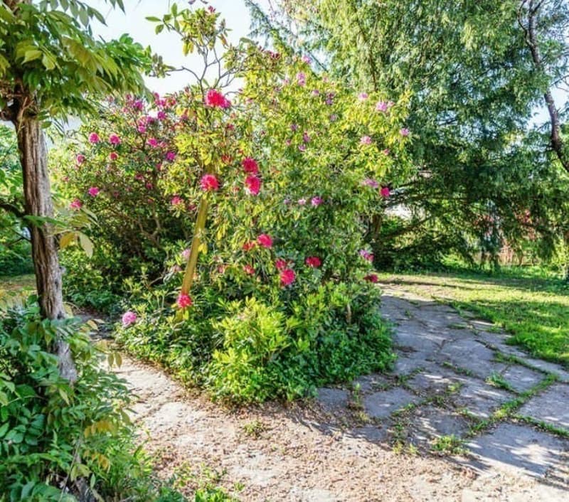 Room in House w/ Garden & Sauna in Höngg (limited until end of Mai 2027), I accidentally deleted the Inserat before! (6)