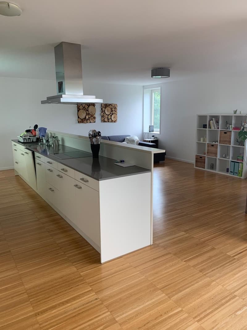 Room in shared flat in Sursee (2)