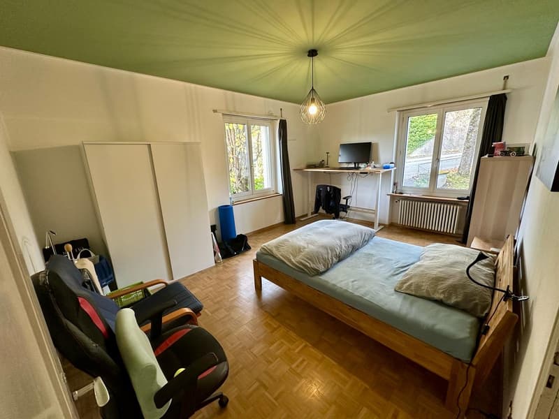 Ruhige & gemütliche WG Zimmer in Uninähe (Leimatstrasse) (7)