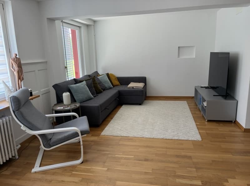 Befristete 2,5 Zimmer mit riesiger Terasse und Seeblick (3)