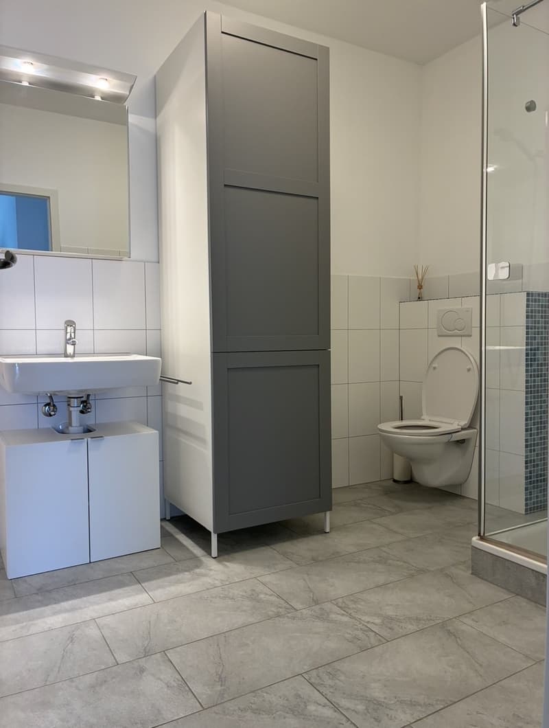 Befristete 2,5 Zimmer mit riesiger Terasse und Seeblick (7)