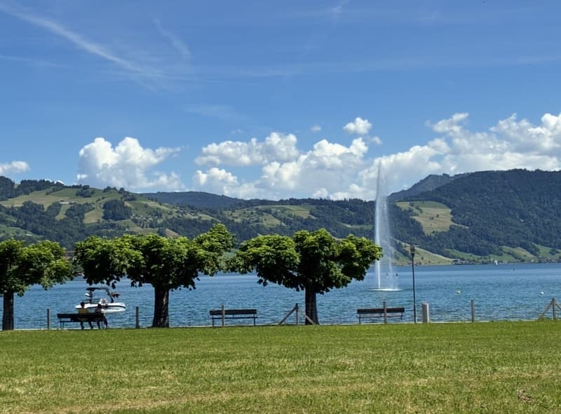 Befristete 2,5 Zimmer mit riesiger Terasse und Seeblick (2)