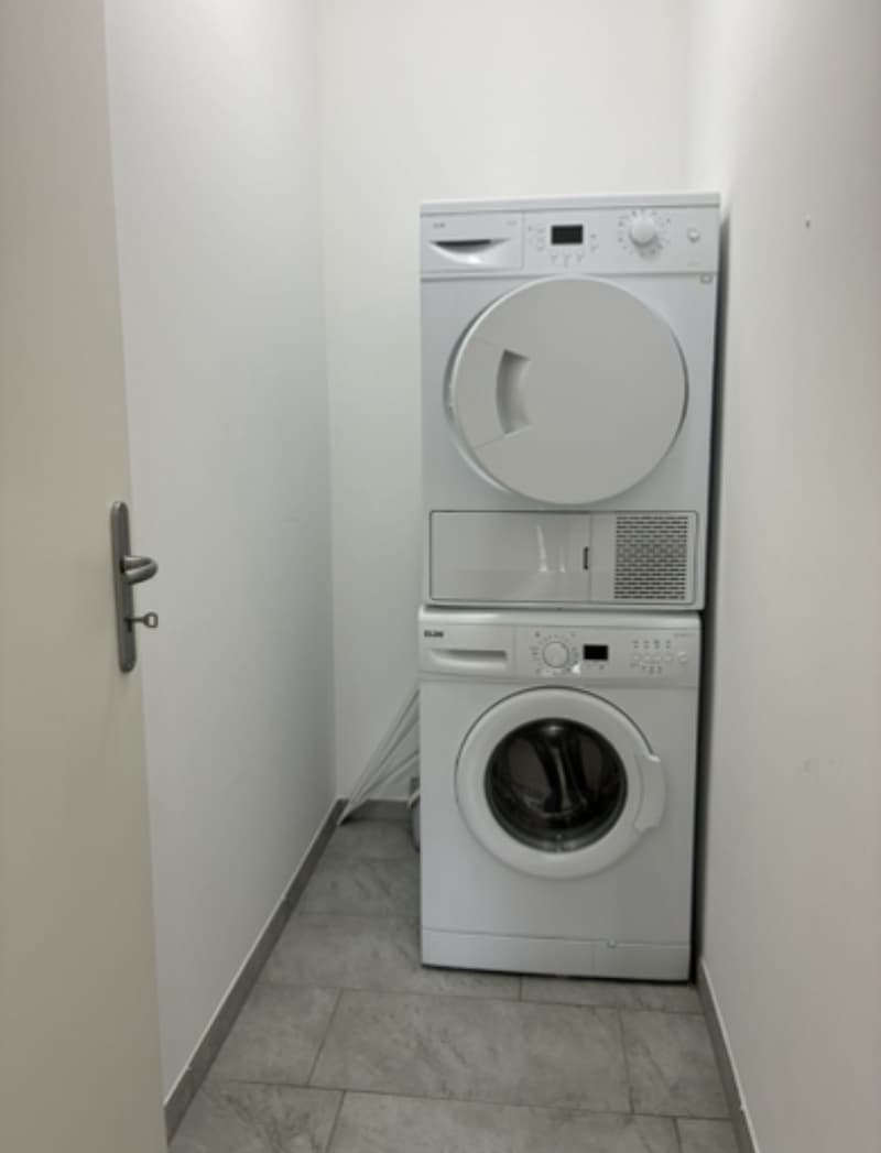 Befristete 2,5 Zimmer mit riesiger Terasse und Seeblick (5)