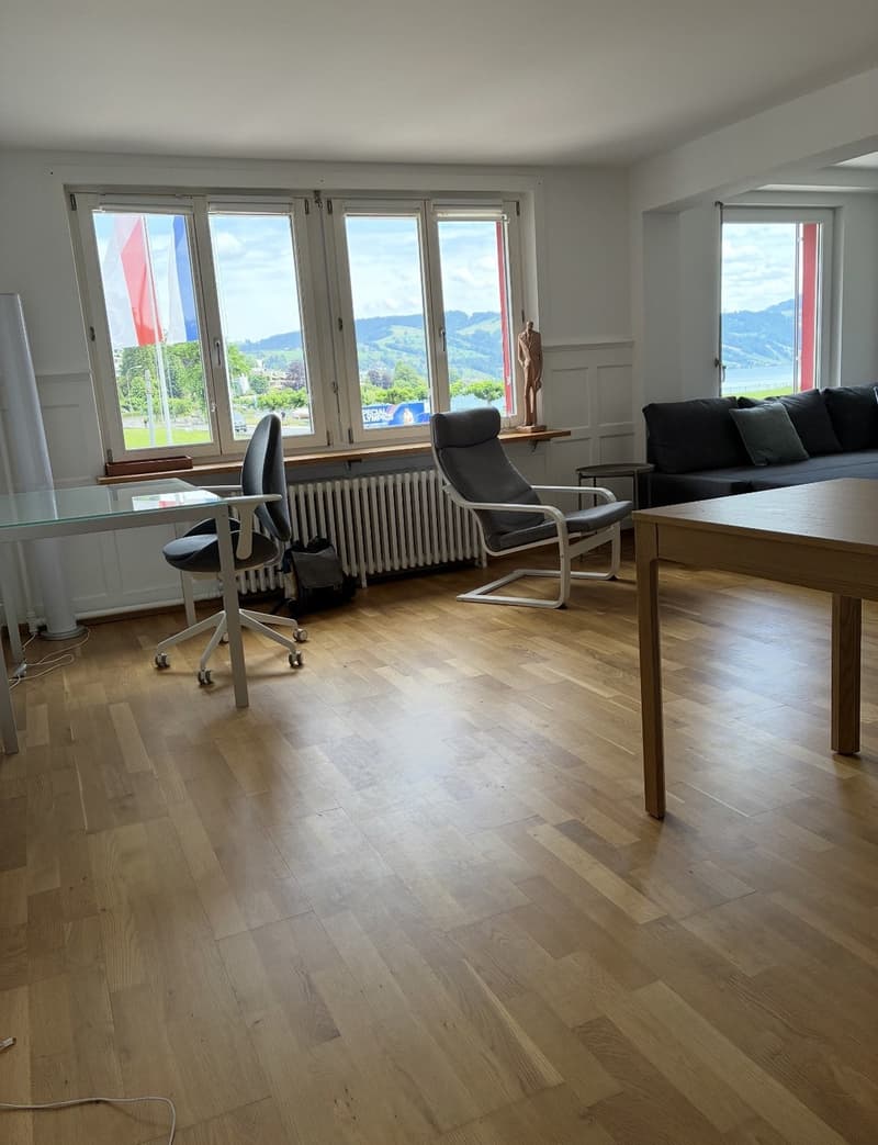Befristete 2,5 Zimmer mit riesiger Terasse und Seeblick (4)
