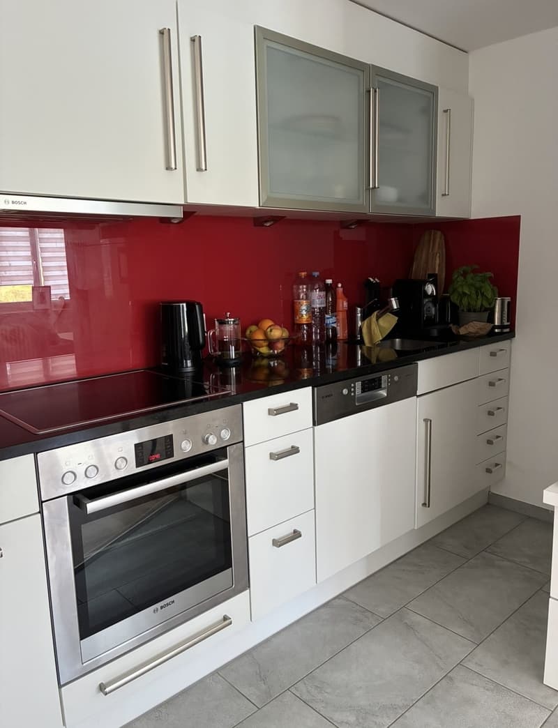 Befristete 2,5 Zimmer mit riesiger Terasse und Seeblick (6)