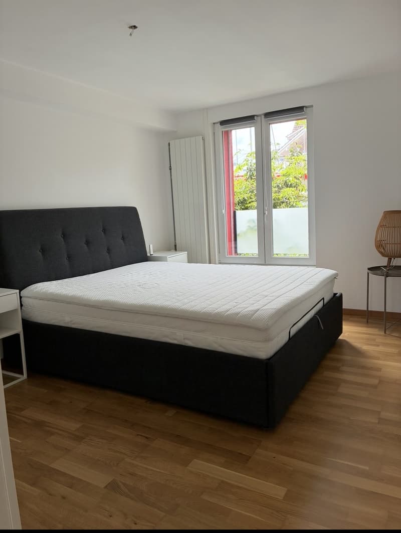 Befristete 2,5 Zimmer mit riesiger Terasse und Seeblick (1)