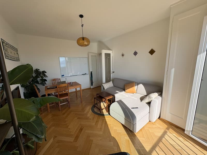 2.5 room appartment in 5th floor (with elevator) (2)