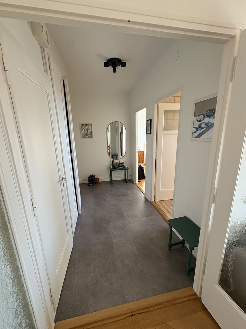 2.5 room appartment in 5th floor (with elevator) (8)