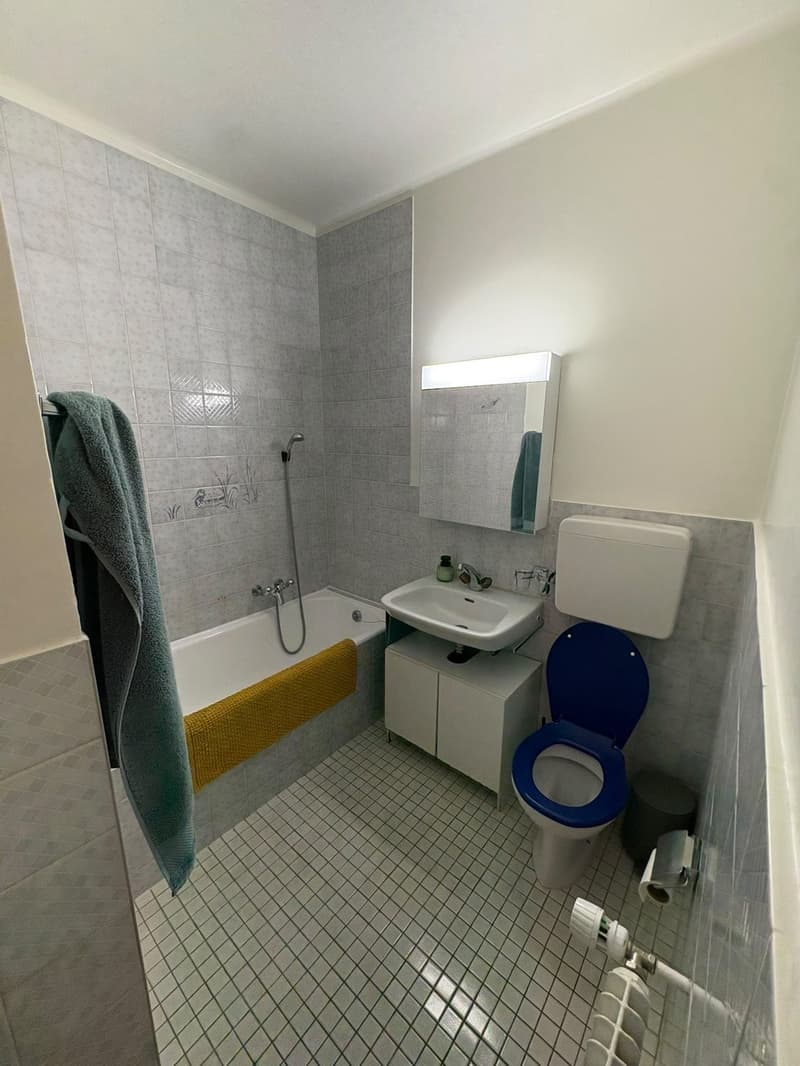2.5 room appartment in 5th floor (with elevator) (9)