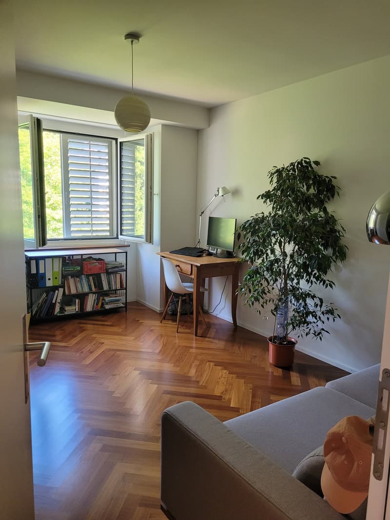 3-Zimmer-Altbauwohnung mit Balkon und Blick in den Kluspark (7)