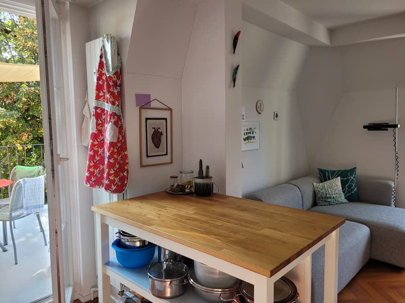 3-Zimmer-Altbauwohnung mit Balkon und Blick in den Kluspark (4)