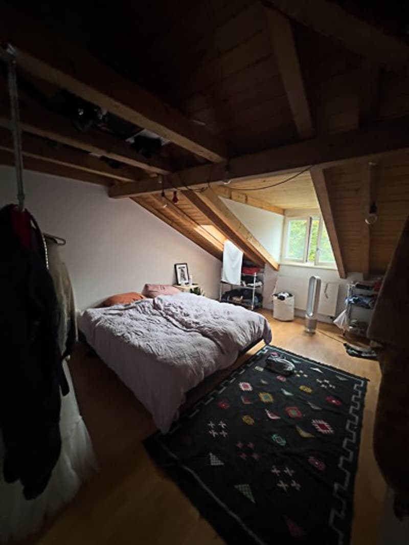 Nachmieter / Untermieter gesucht (4)