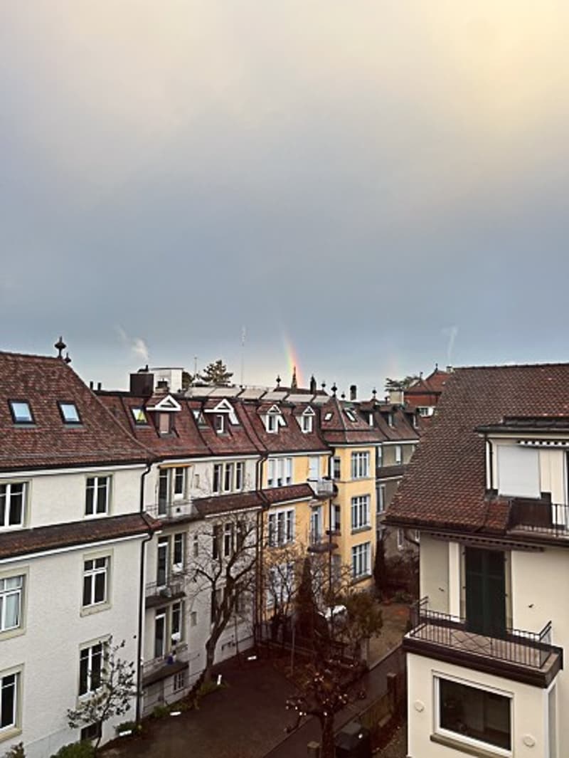 Nachmieter / Untermieter gesucht (9)