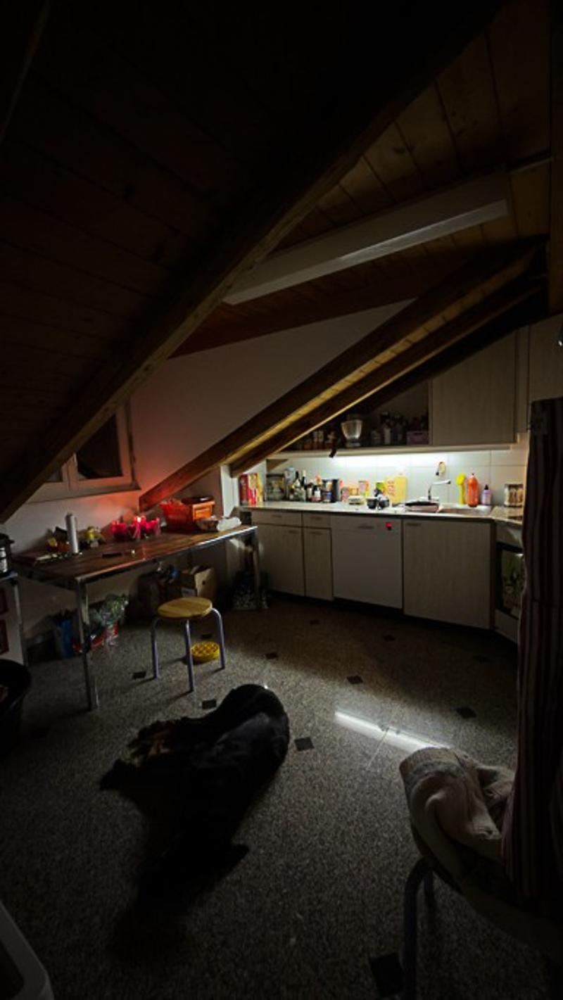 Nachmieter / Untermieter gesucht (8)