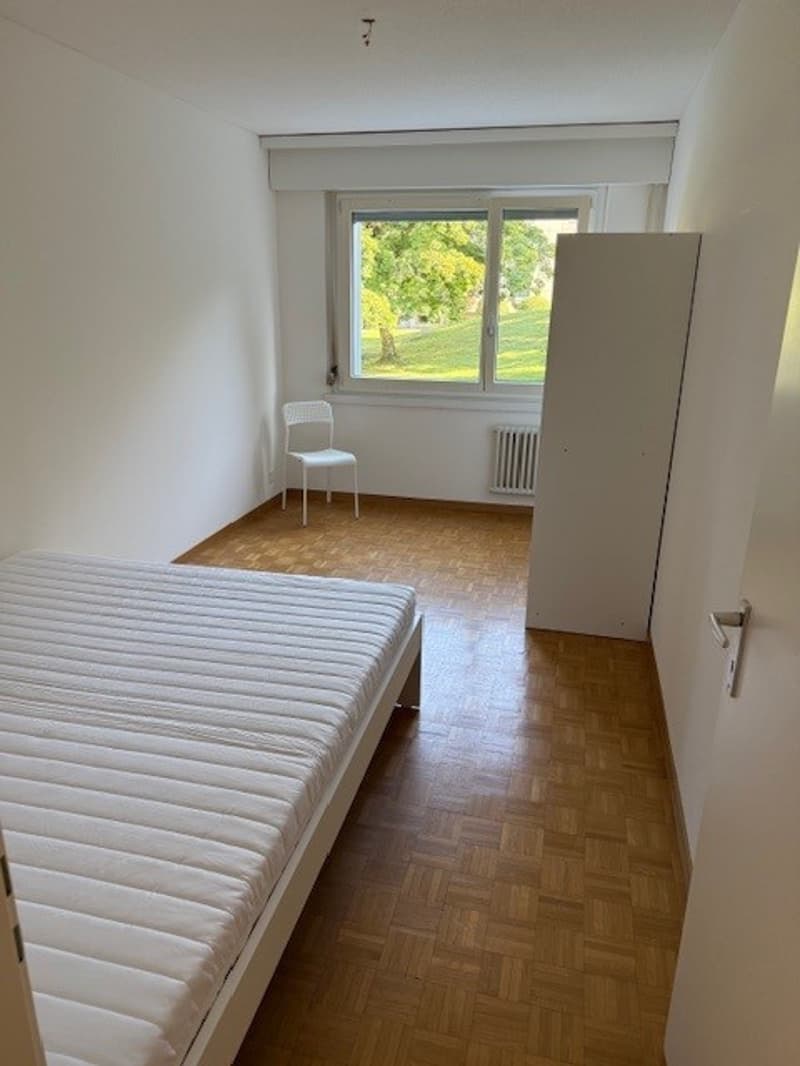 Zimmer zu vermieten (2)