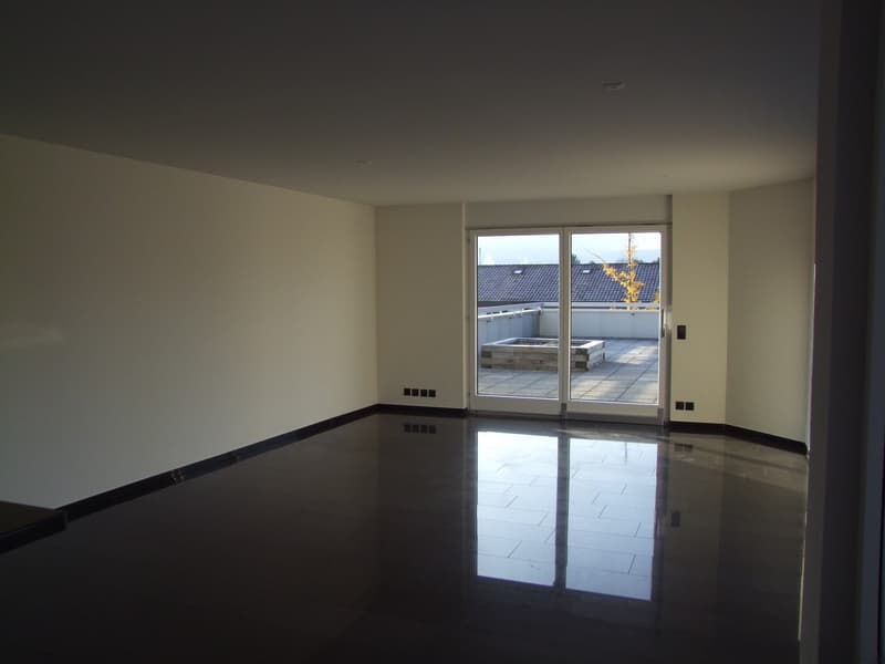 Grosszügige 4.5-Zimmer-Wohnung mit grosser Terrasse ca. 158 m² Gesamtfläche im Zentrum von Reinach Basel (2)
