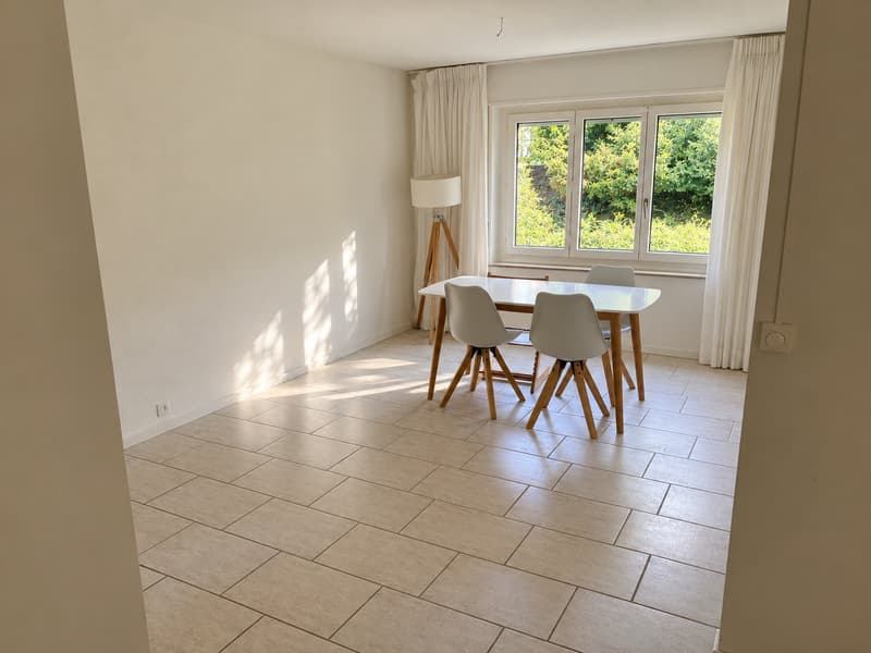 4-Zimmer-Wohnung im Grünen mit Garten in Küsnacht (5)