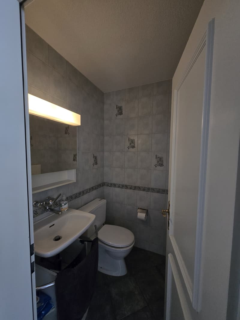 Large furnished room (20 m²) in spacious shared flat Rotkreuz (4)