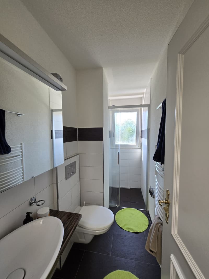 Large furnished room (20 m²) in spacious shared flat Rotkreuz (3)