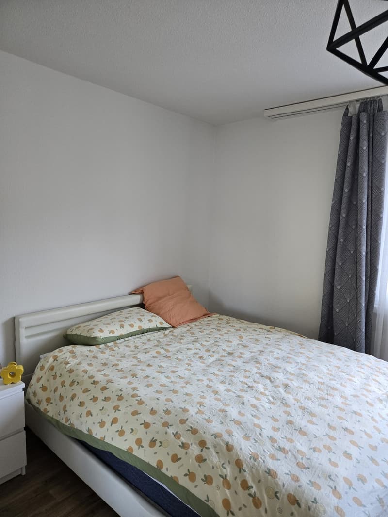 Large furnished room (20 m²) in spacious shared flat Rotkreuz (9)