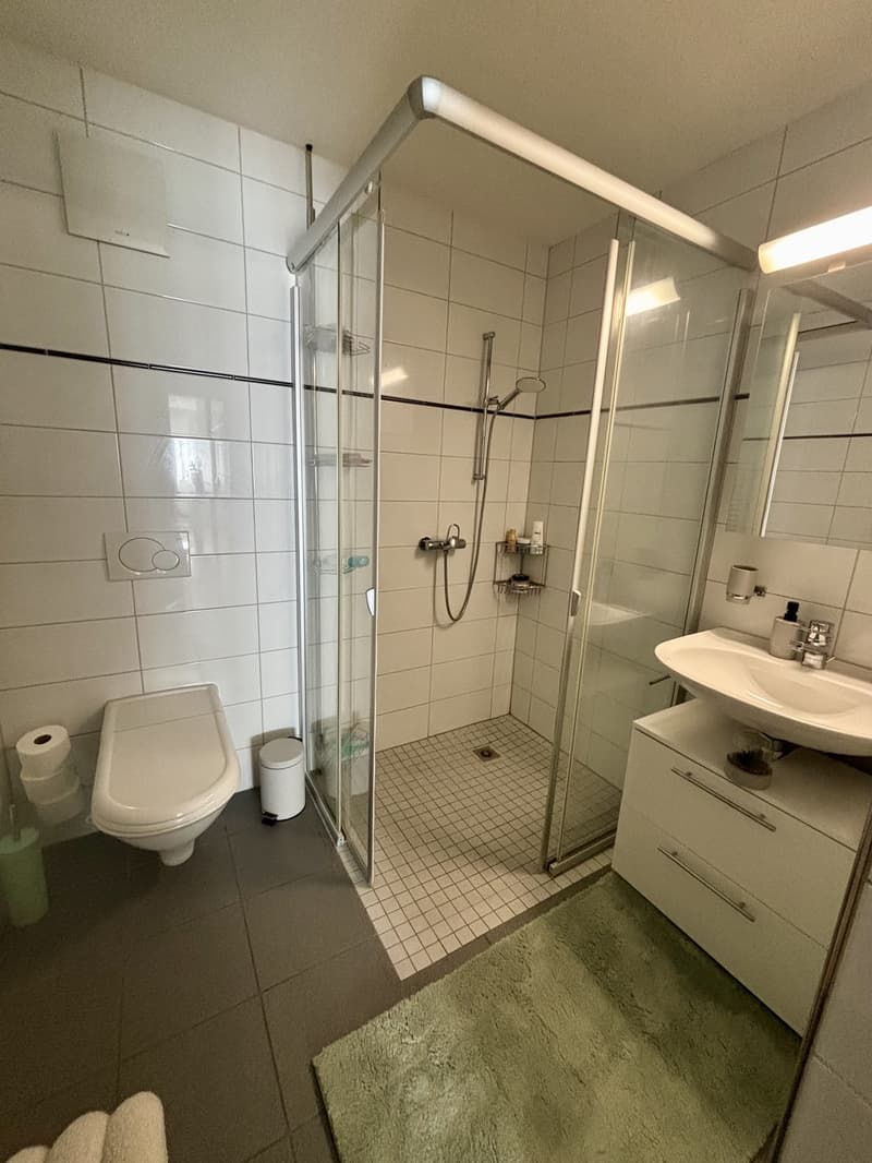 Befristete 2.5 Zimmer-Wohnung in Bassersdorf (4)