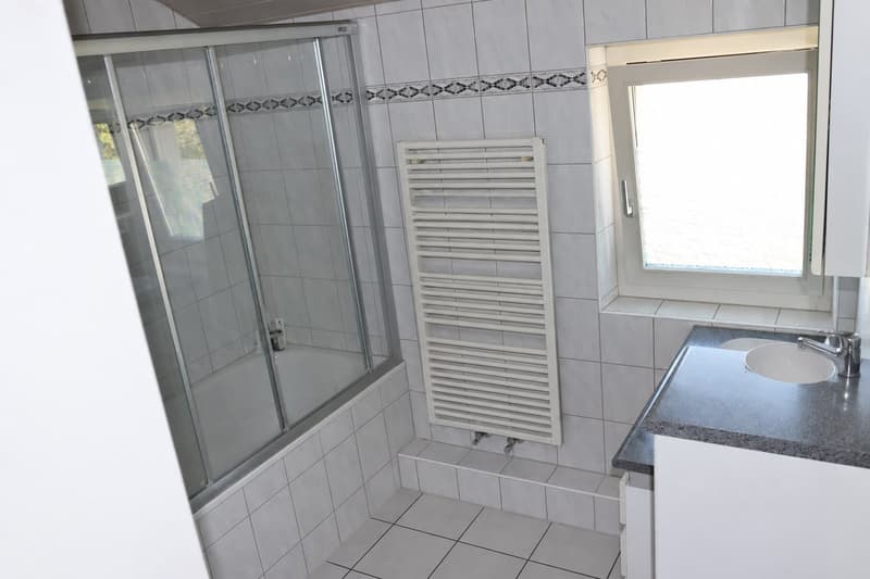 Nachmieter gesucht per sofort (5)