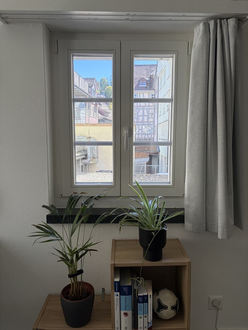 Möblierte Wohnung in der Altstadt befristet für 4 Monate (9)