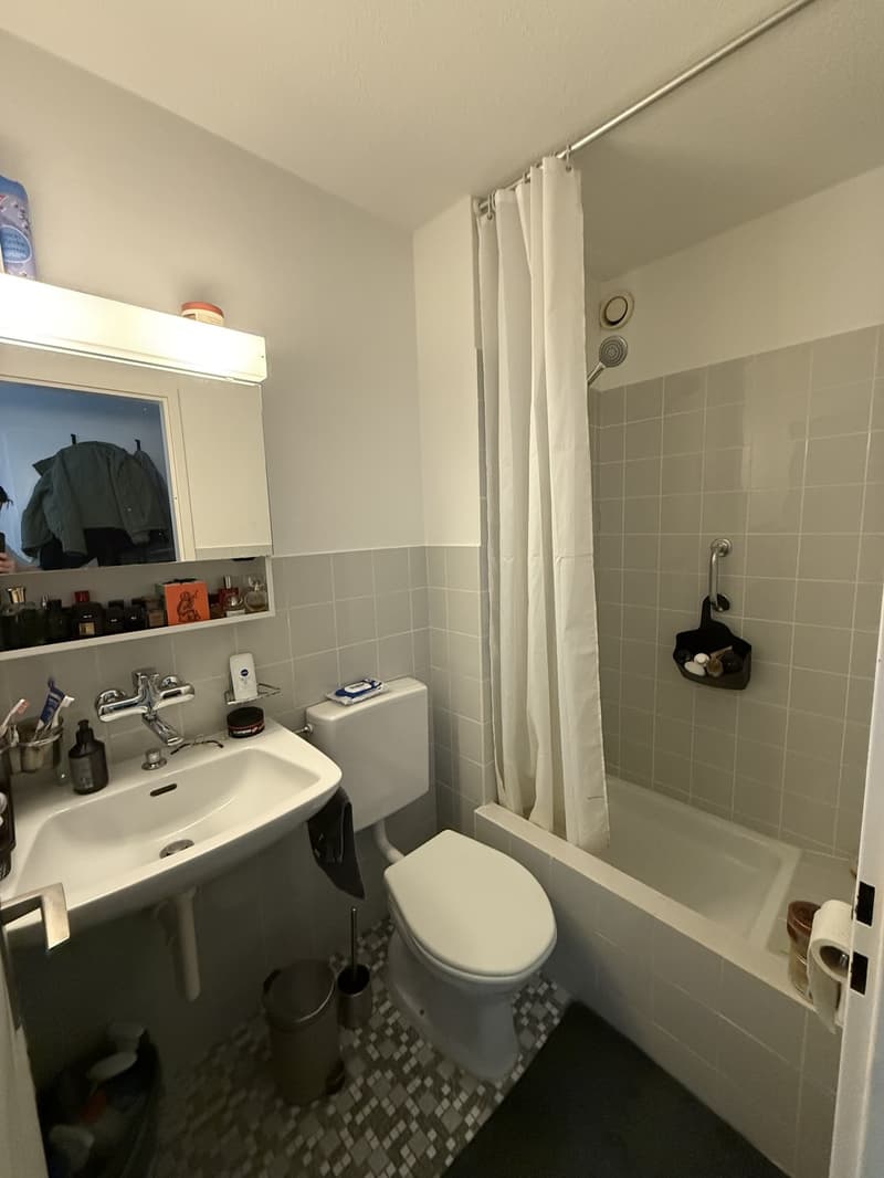 Gemütliche 1½-Zimmer-Wohnung mit Aussenparkplatz (4)