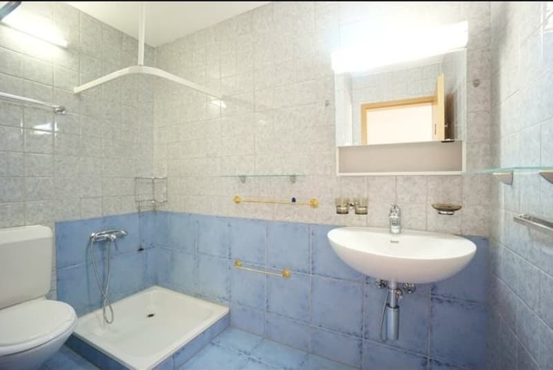 Schöne, gemütliche 2,5-Zimmer-Wohnung in Hunzenschwil (1)