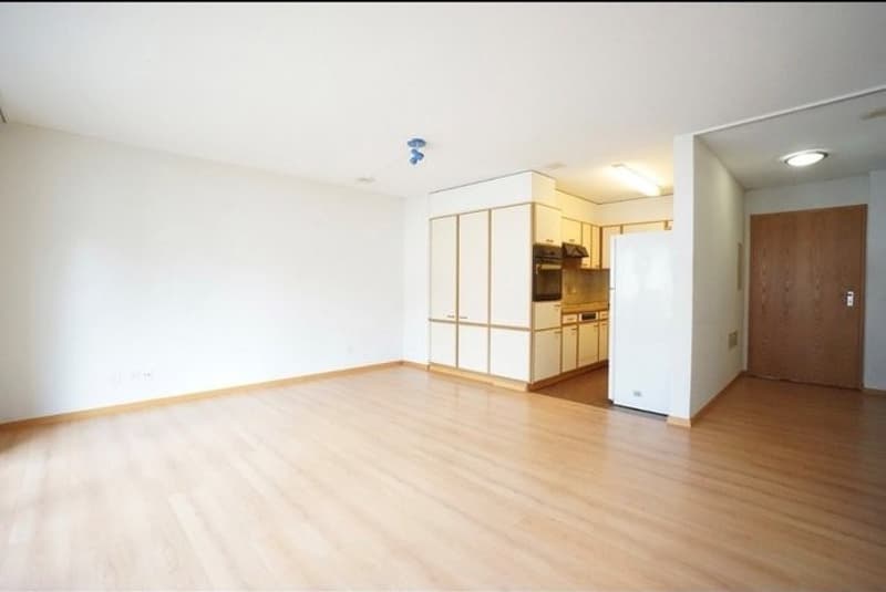Schöne, gemütliche 2,5-Zimmer-Wohnung in Hunzenschwil (4)