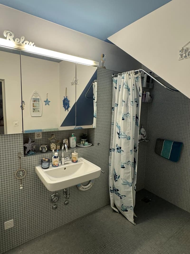 2,5-ZIMMER-DUPLEX ZU VERMIETEN IN DIESSENHOFEN (9)