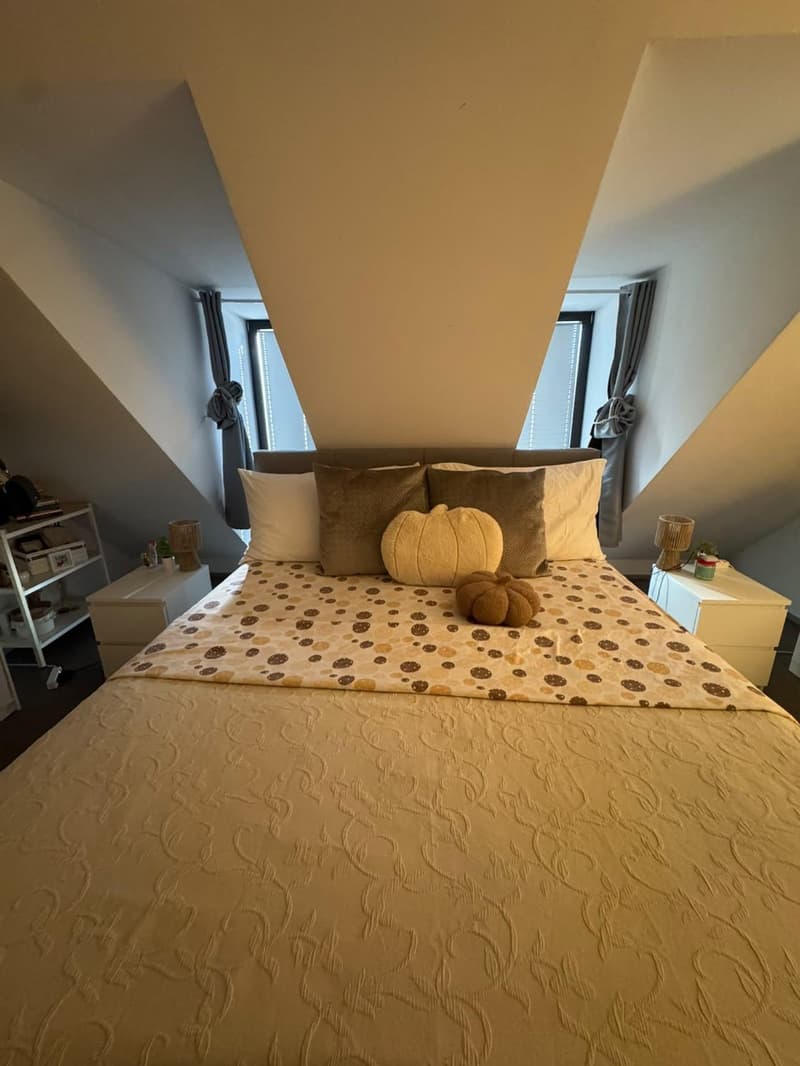 2,5-ZIMMER-DUPLEX ZU VERMIETEN IN DIESSENHOFEN (10)