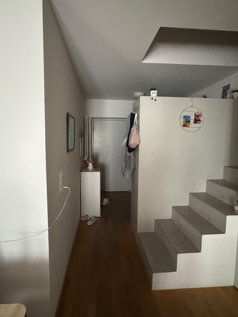 2,5-ZIMMER-DUPLEX ZU VERMIETEN IN DIESSENHOFEN (3)